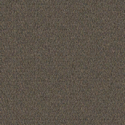 Connetic BC426 - 12 ft Broadloom