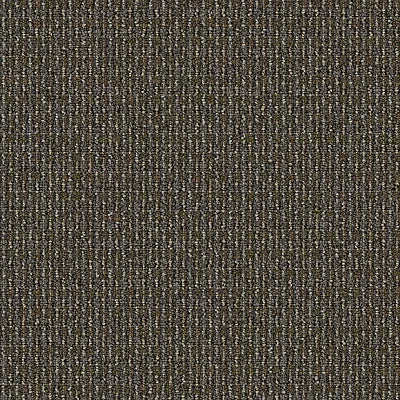 Graphic Touch BC452 - 12 ft Broadloom