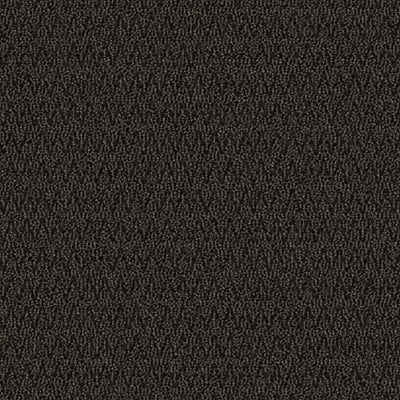 First Step II GT315 - 24 in x 24 in Carpet Tile