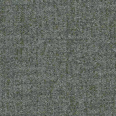 Fractal Ground GT425 - 12 in x 36 in Carpet Tile