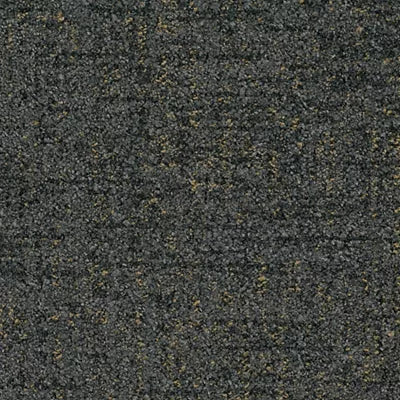 Fractal Ground GT425 - 12 in x 36 in Carpet Tile