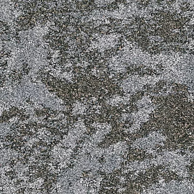 Feather GT434 - 12 in x 36 in Carpet Tile