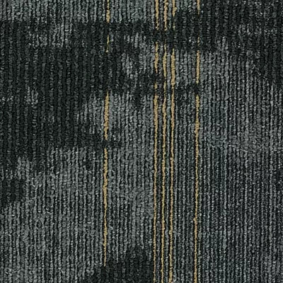 Proficient GT432 - 12 in x 36 in Carpet Tile