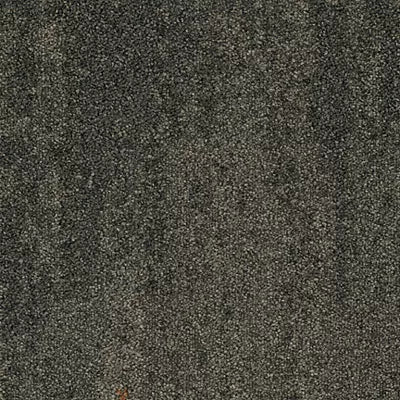 Urban Passage II GT444 - 12 in x 36 in Carpet Tile