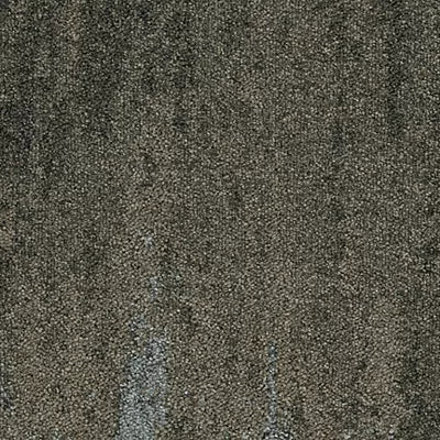 Urban Passage II GT444 - 12 in x 36 in Carpet Tile