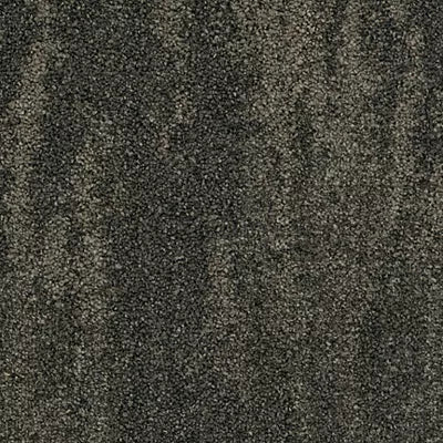 Urban Field II GT446 - 12 in x 36 in Carpet Tile