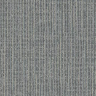 Shifted Focus GT448 - 12 in x 36 in Carpet Tile