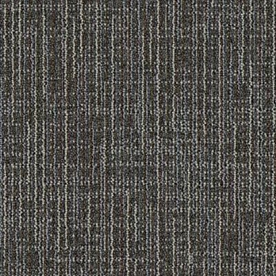 Shifted Focus GT448 - 12 in x 36 in Carpet Tile
