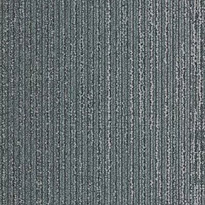 Biome GT456 - 12 in x 36 in Carpet Tile