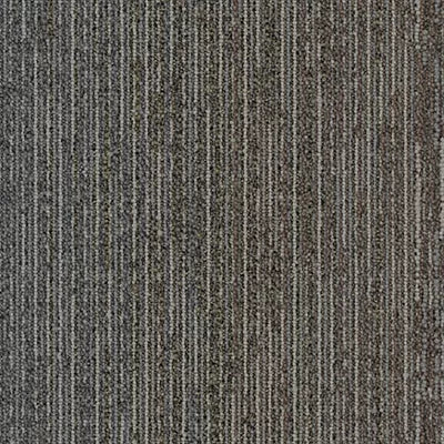 Biome GT456 - 12 in x 36 in Carpet Tile