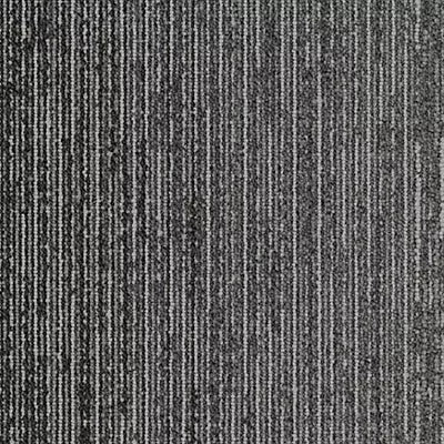 Biome GT456 - 12 in x 36 in Carpet Tile