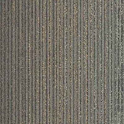 Biome GT456 - 12 in x 36 in Carpet Tile