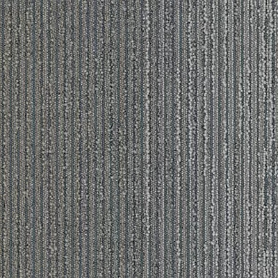 Biome GT456 - 12 in x 36 in Carpet Tile