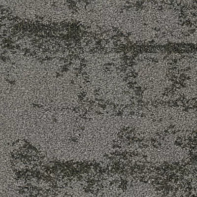 Bark Community GT473 - 12 in x 36 in Carpet Tile