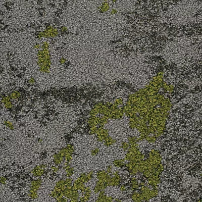 Micro Bloom II GT475 - 12 in x 36 in Carpet Tile