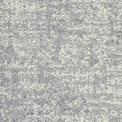 Space For All GT482 - 12 in x 36 in Carpet Tile