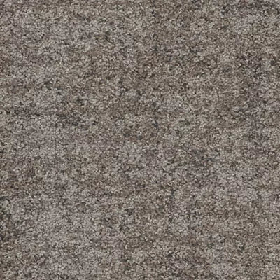 Space For All GT482 - 12 in x 36 in Carpet Tile