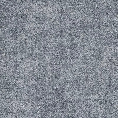 Space For All GT482 - 12 in x 36 in Carpet Tile