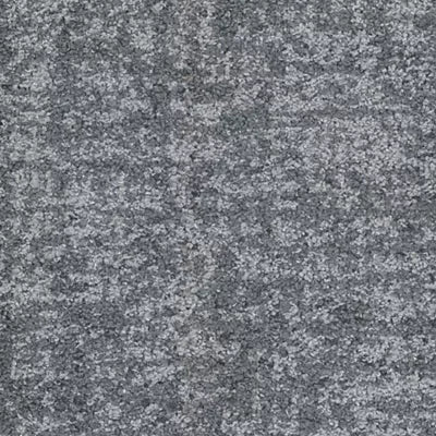 Space For All GT482 - 12 in x 36 in Carpet Tile