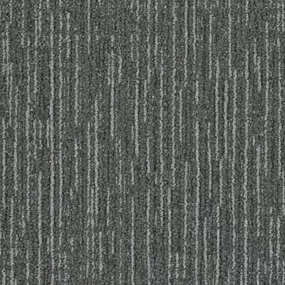 Color Canvas GT484 - 12 in x 36 in Carpet Tile