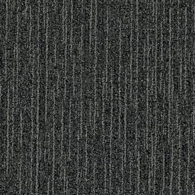 Color Canvas GT484 - 12 in x 36 in Carpet Tile
