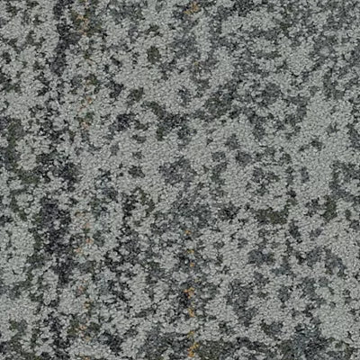 Biotope GT357 - 12 in x 36 in Carpet Tile