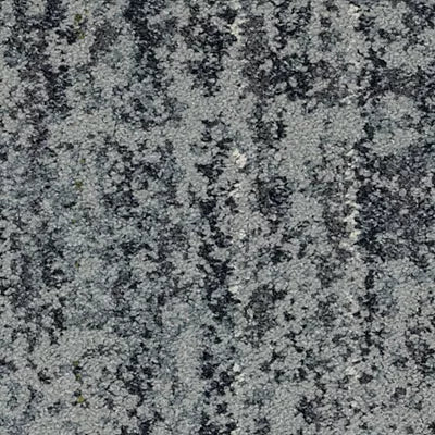 Biotope GT357 - 12 in x 36 in Carpet Tile