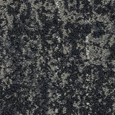 Biotope GT357 - 12 in x 36 in Carpet Tile