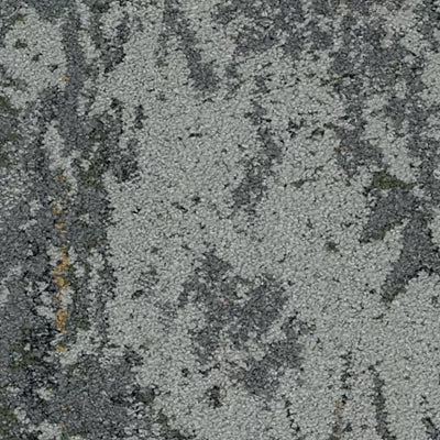 MycoBiome GT358 - 12 in x 36 in Carpet Tile