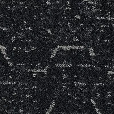 Pollinator Path GT362 - 12 in x 36 in Carpet Tile