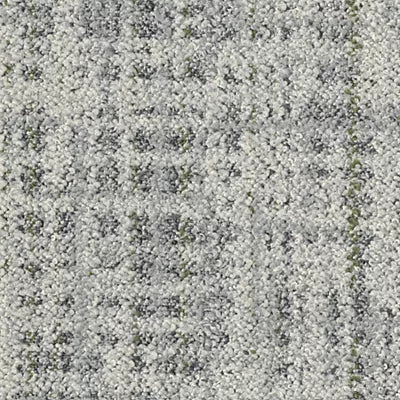 Wild Horizons GT366 - 12 in x 36 in Carpet Tile