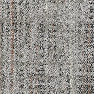 Wild Horizons GT366 - 12 in x 36 in Carpet Tile