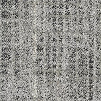 Wild Horizons GT366 - 12 in x 36 in Carpet Tile