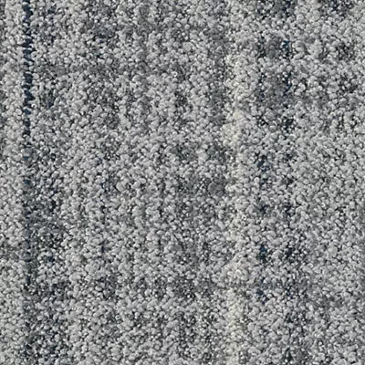 Wild Horizons GT366 - 12 in x 36 in Carpet Tile