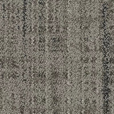 Wild Horizons GT366 - 12 in x 36 in Carpet Tile