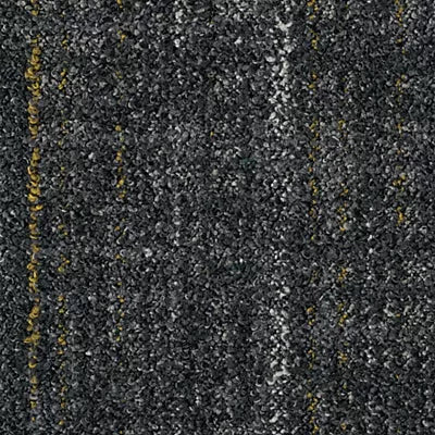 Wild Horizons GT366 - 12 in x 36 in Carpet Tile