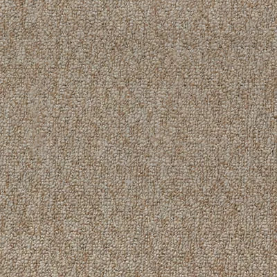 Tucker's Point SLC91 - 12 ft Broadloom