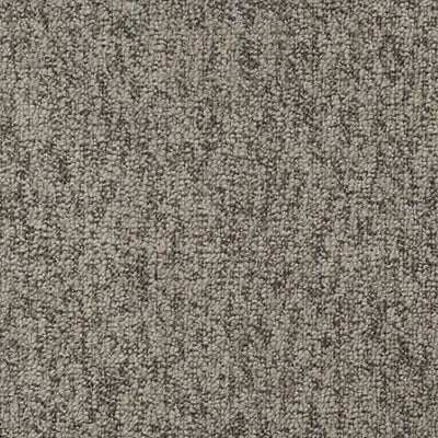 Tucker's Point SLC91 - 12 ft Broadloom