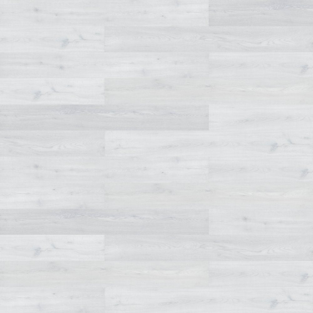 Branching Out 5Mm Acoustic