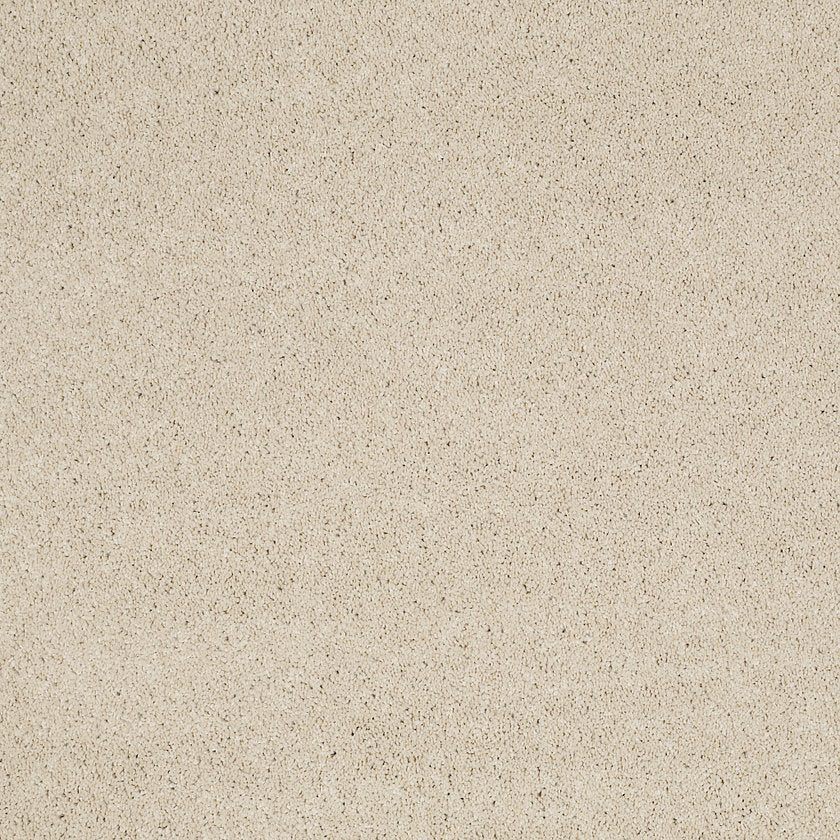 CASHMERE CLASSIC III