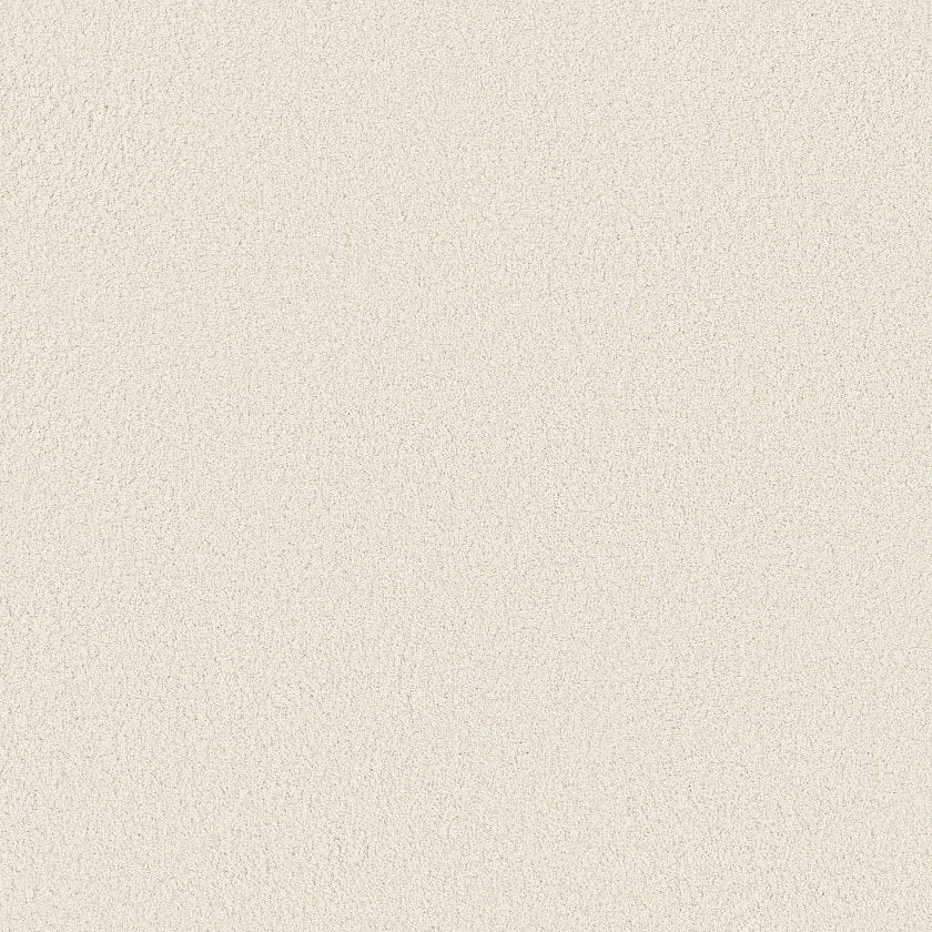 CASHMERE CLASSIC III