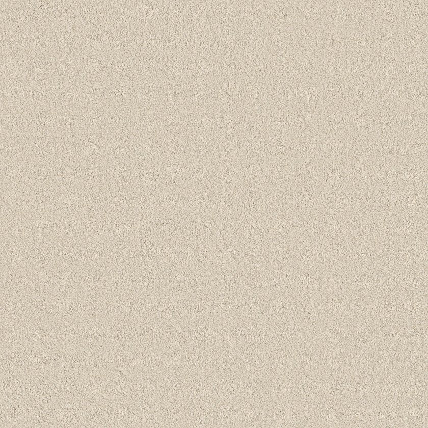 CASHMERE CLASSIC III