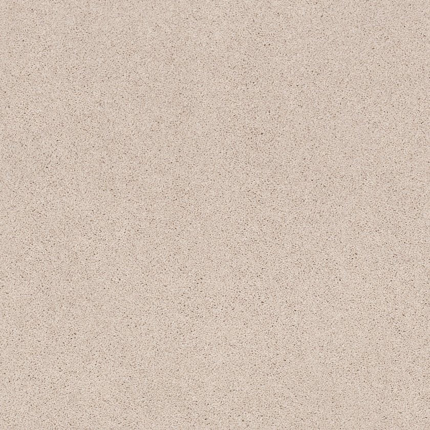 CASHMERE CLASSIC III