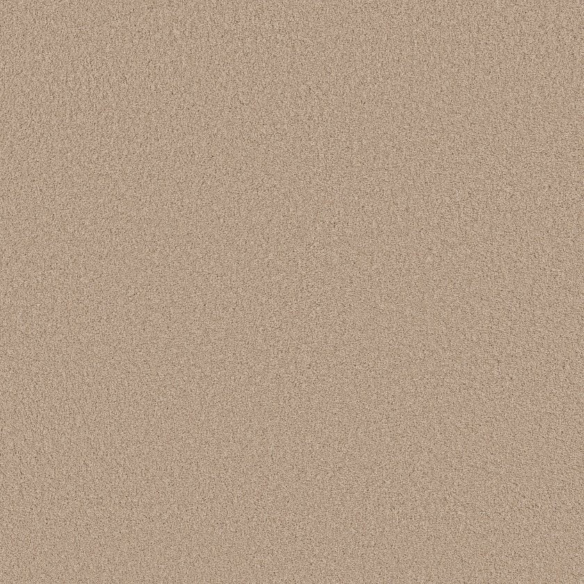 CASHMERE CLASSIC III