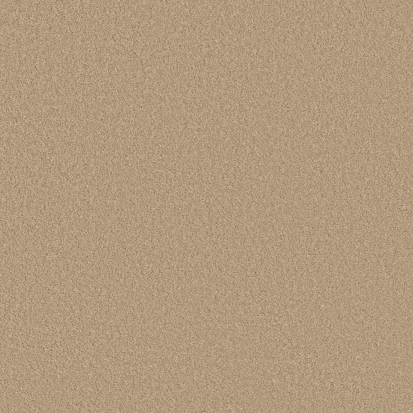 CASHMERE CLASSIC III