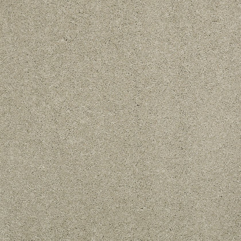 CASHMERE CLASSIC III