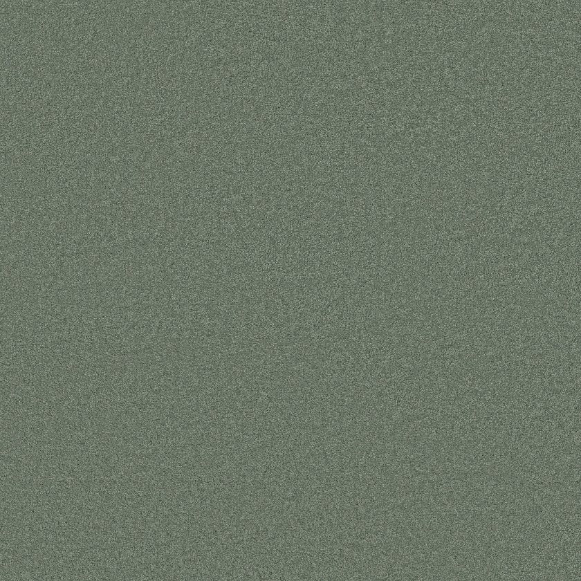 CASHMERE CLASSIC III