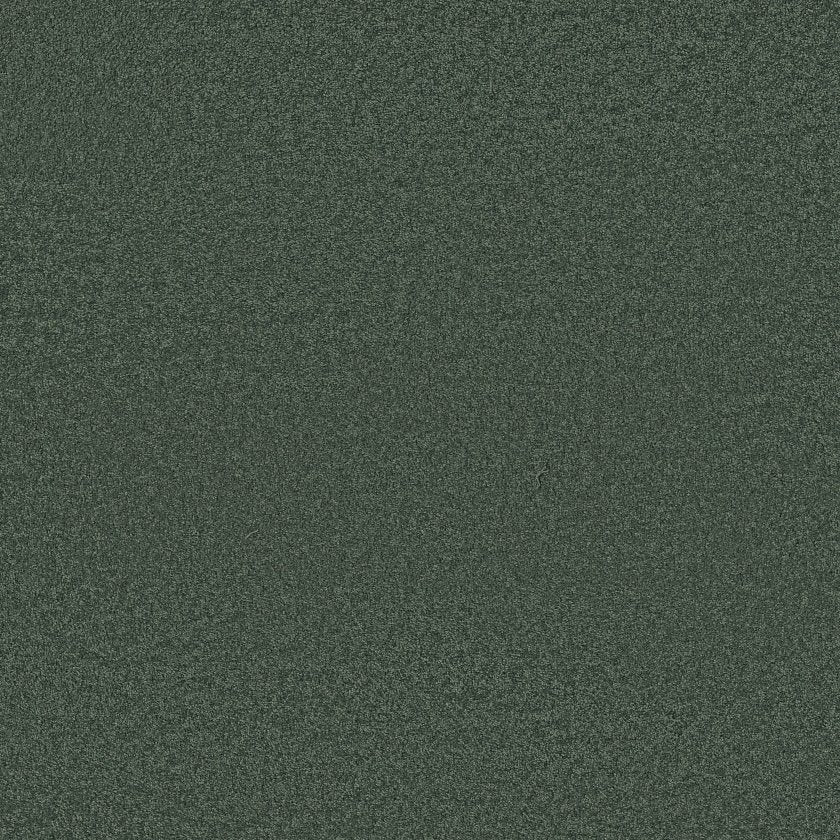 CASHMERE CLASSIC III