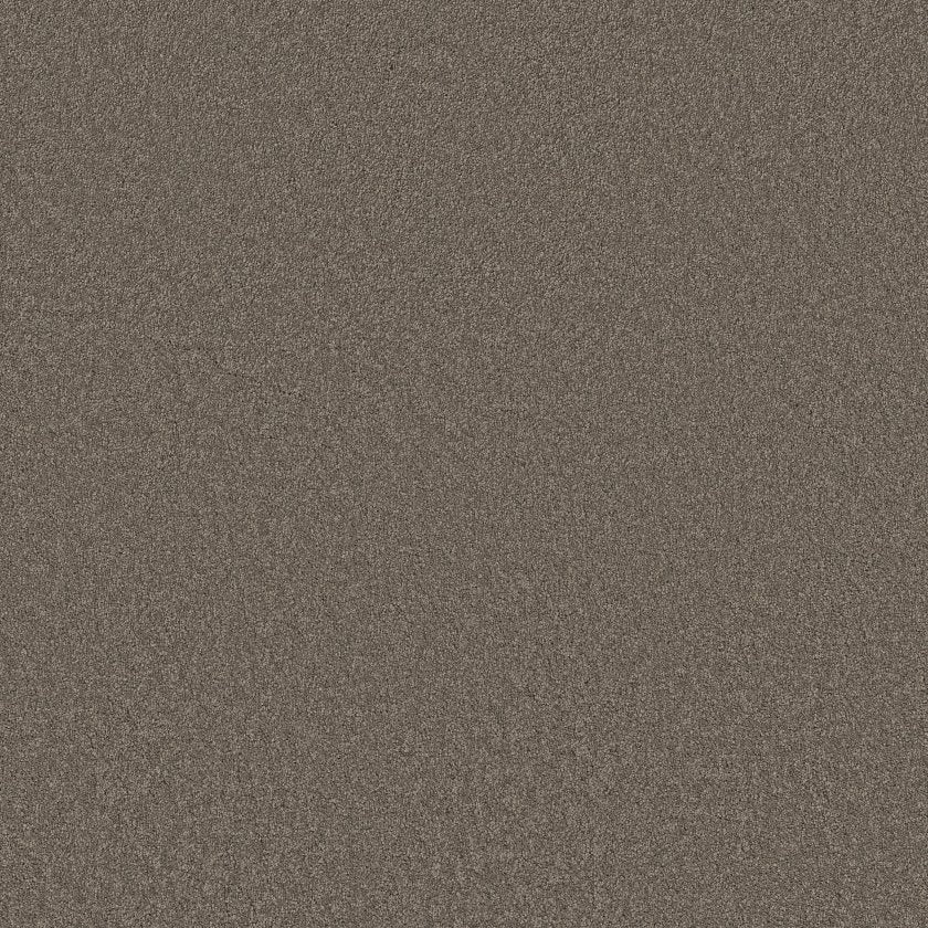 CASHMERE CLASSIC III