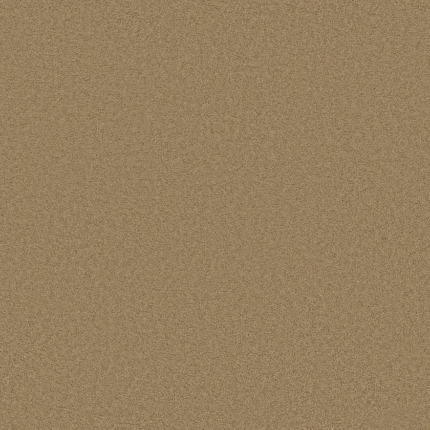 CASHMERE CLASSIC III